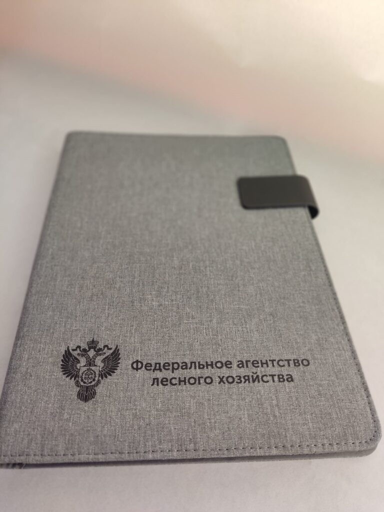 Папка А4 с нанесённым логотипом